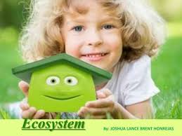 02 introduction to ecosystems