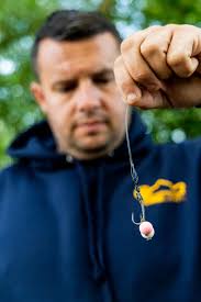 Colne Valley Corkers! 😍 Tom Maker Carp Angler had a brilliant session  while visiting Thorney Weir managing several lovely carp 👌 Presenting pop  ups in the low lying weed, using Ronnie Rigs