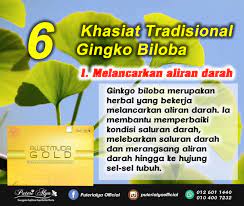 Ginkgo biloba, commonly known as ginkgo or gingko (both pronounced /ˈɡɪŋkoʊ/), also known as the maidenhair tree, is the only living species in the division ginkgophyta, all others being extinct. Puteri Alya 6 Khasiat Tradisional Gingko Biloba