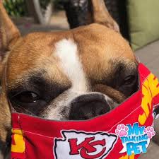Browse & discover thousands of brands. All Pet Supplies Home Facebook