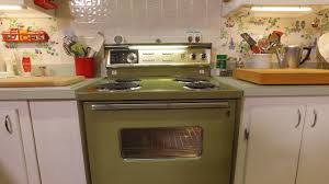 Image result for Avocado Green 1983 Roper