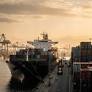 German Investments in the US Plummet Amid Trump’s Tariff Policies