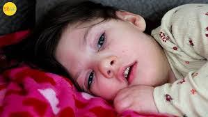 Wesley Fehr's Instagram, Twitter & Facebook