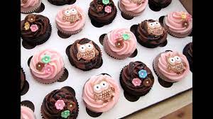 Owl Baby Shower Decorations Ideas Home Art Design Decorations Youtube