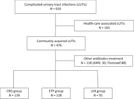 Flow Diagram Of Complicated Urinary Tract Infections Of