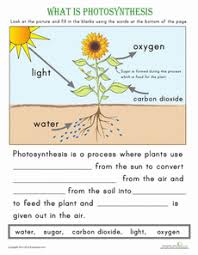 What Is Photosynthesis Science Worksheets Science
