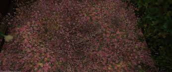 Check spelling or type a new query. Somebody Can Tell Me Please The Name Of This Interior Housing Item Ffxiv