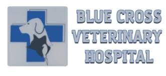 Maybe you would like to learn more about one of these? Blue Cross Pet Hospital Near Me Off 62 Www Usushimd Com