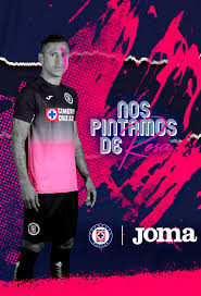 Customize with the official name and number 202. Cruz Azul Jersey Pink Pasteurinstituteindia Com