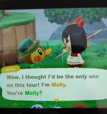 Complete Ironwood Set With Pictures Animalcrossing Animal Crossing Funny Animal Crossing Animal Crossing Memes