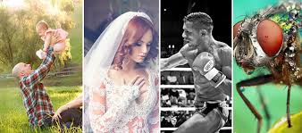 Wedding photography styles that can make any wedding photoshoot memorable and wonderful. 50 Types Of Photography What Type Of Photographer Are You