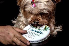 We carry top brands like seresto. Seresto Flea Collars Linked To 1 700 Pet Deaths New York Daily News