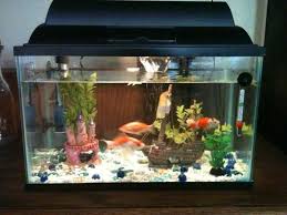 How Much Aquarium Salt Per Gallon For Brackish Water Aquarium Betta Fish Tank Aquarium Design