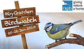 Join Rspb S Big Garden Birdwatch This Weekend Grrlscientist Big Garden Birdwatch Big Garden Garden