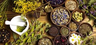 فوائد طب الأعشاب موضوع