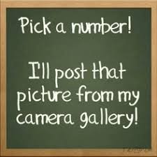 * post photos and videos to your insta feed. Instagram Games Challenges To Test Your Friends Growing Social Media