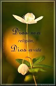 Y Vida Eterna Frases De Aliento Frases De Oracion Frases Del Amor De Dios