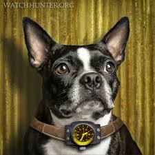 Jim goes undercover as a trainee for wells fargo to try and find out. Watch Dog Gallery Watch Hunter Watch Reviews Photos And Articles