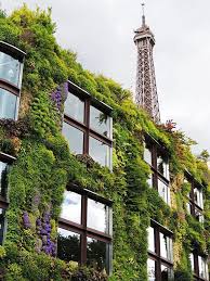 Musee Du Quai Branly Designer Vertical Garden Patrick Blanc Fachada Verde Arquitetura Verde Fachada Muro