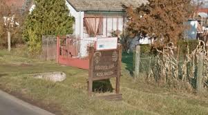 Kettős gyilkosság történt szegeden vasárnap. Brutalis Kettos Gyilkossag Vascsovel Kessel Es Baltaval Oltek Meg Egy Idos Part Kislangon Szmo Hu