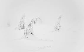 Image result for computer background tumblr aesthetic aesthetic. Aesthetic White Wallpapers On Wallpaperdog
