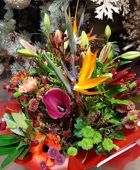 Read reviews for shasta daisy, crazy daisy. Best 12 Florists In Sligo County Last Updated May 2021 Golden Pages Goldenpages Ie