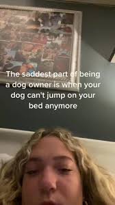 Why Does My Dog Act Like He Cant Jump