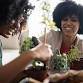 Small Space Productive Gardening