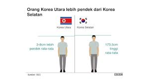 Korea utara dan korea selatan merupakan salah satu dari negara yang bisa dibilang bersaudara tapi tidak bisa akur. Membandingkan Korea Utara Dan Korea Selatan Yang Pernah Seimbang Bbc News Indonesia