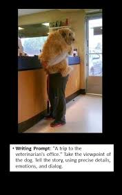 Writing Prompt Perspective Funny Dog Pictures Funny Cute Funny Animals