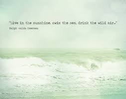 The Ocean Is Home Ocean Quotes Beach Quotes Sea Quotes