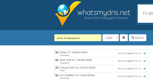 My Cname Isn T Working How Can I Troubleshoot It Instapage Help Center