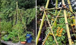 Host casey hentges is prepping her vegetable garden for her warm season tomatoes by building a bamboo trellis cage. How To Build A Bamboo Trellis 3 Diy Ideas To Try Bamboo Trellis Bamboo Garden Bamboo Trellis Diy