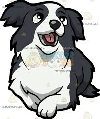 An Intrigued Border Collie Puppy Collie Puppies Puppy Cartoon Border Collie Puppies