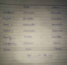 More categories are added to recognize kingdom phylum class order family genus species. Among Kingdom Phylum Class Order Family How Many Taxonomic Categories Are Common For Felis And Brainly In