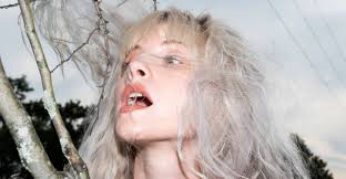 'flowers for vases/descansos' rakes back the debris and leaves hayley williams exposed. Paramore S Hayley Williams Announces Name Of Solo Project Shares Teaser The Fader