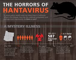 Hantavirus pulmonary syndrome (hps) is an uncommon respiratory disease caused by hantaviruses, most often the sin nombre virus. Infographic The Horrors Of Hantaviris