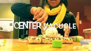 Maybe you would like to learn more about one of these? Rice Crispy Treat Plant Cell Project Youtube