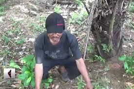 Kapan dan area mana saja yang dapat. Mulanya Cut Mini Akhirnya Arisan Antara News