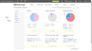 In this order, you write your first name. Myheritage Family Tree Statistics My Tree Laptrinhx News