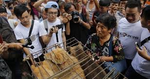 Cin De Yulin Kopek Eti Festivali Yasaklandi