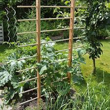 Spart Platz Gemuseleiter Rankgerust Fur Beet Und Hochbeet Garten Hochbeet Gartenspaliere Hochbeet