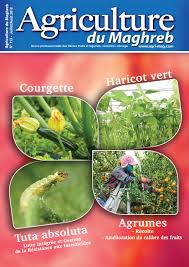 Agriculture Du Maghreb N 113 By Agriculture Du Maghreb Issuu