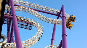 Image result for Grona