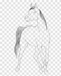 Arabian Horse Coloring Book Line Art Drawing Mustang Tack Horsehead Printing Transparent Png Printable horse coloring pages, coloring sheets and pictures for kids, children. arabian horse coloring book line art