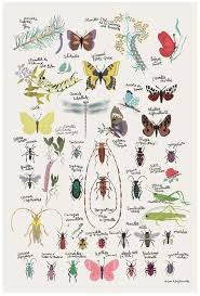 You move from state to state via a transition/trigger/event. 340 Butterflies Two Ideas Butterfly Art Butterfly Beautiful Butterflies