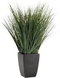 Potted Onion Grass In Botanicals And Plants Crate And Barrel Plants Artificial Plants Artificial Plants Indoor