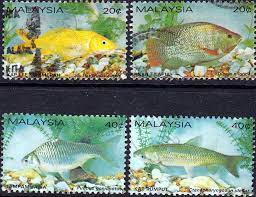 List of freshwater fishes for malaysia. Malaysia 1983 Freshwater Fishes Set Fine Used