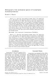 Image result for Lomariopsis hederacea