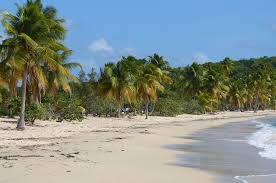 Find things to do near you. Meine Heissesten Puerto Rico Tipps Happybackpacker
